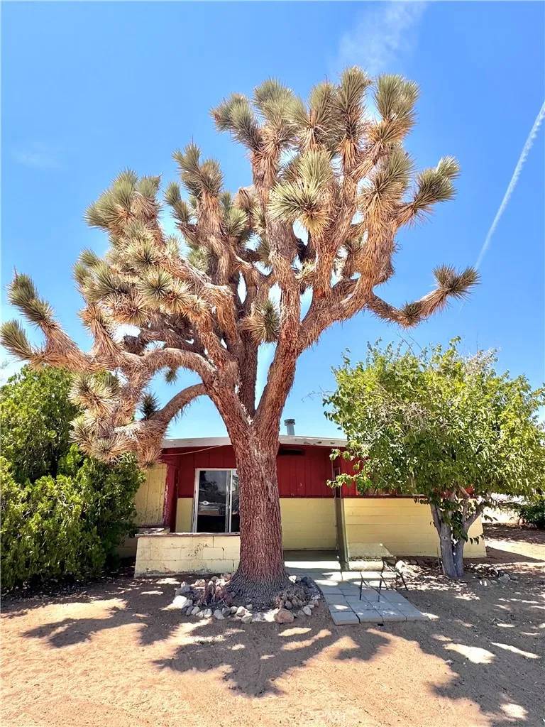 Yucca Valley, CA 92284,1676 Avalon Avenue