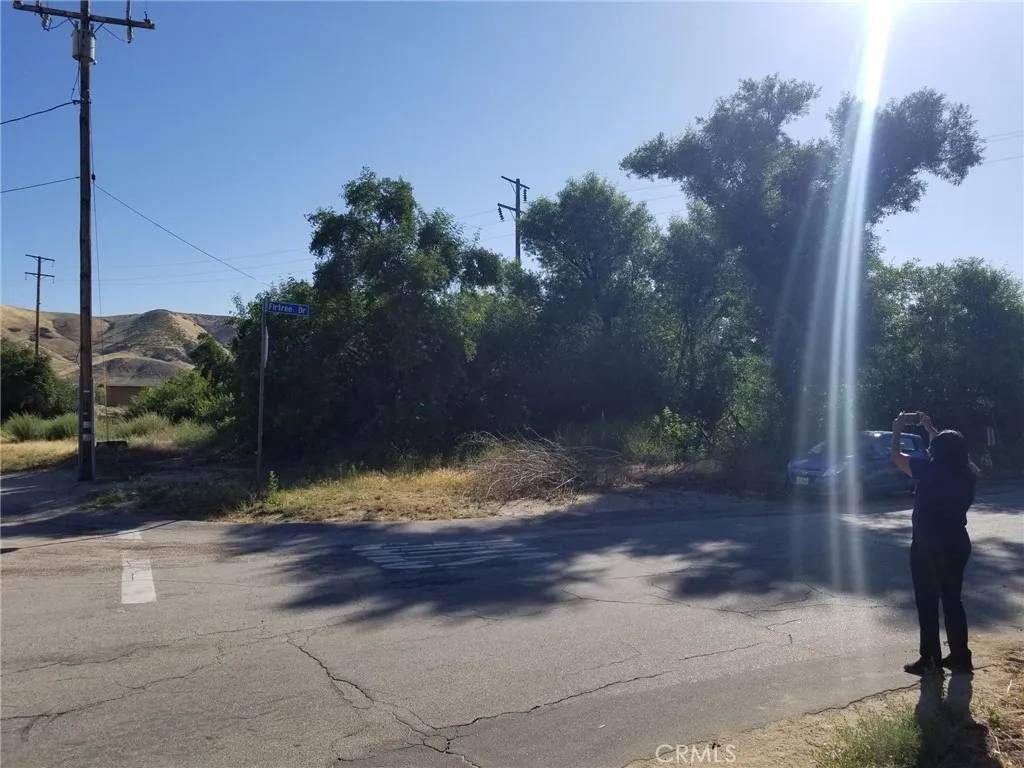 Lake Elizabeth, CA 93532,0 Alderwood Rd/Firtree