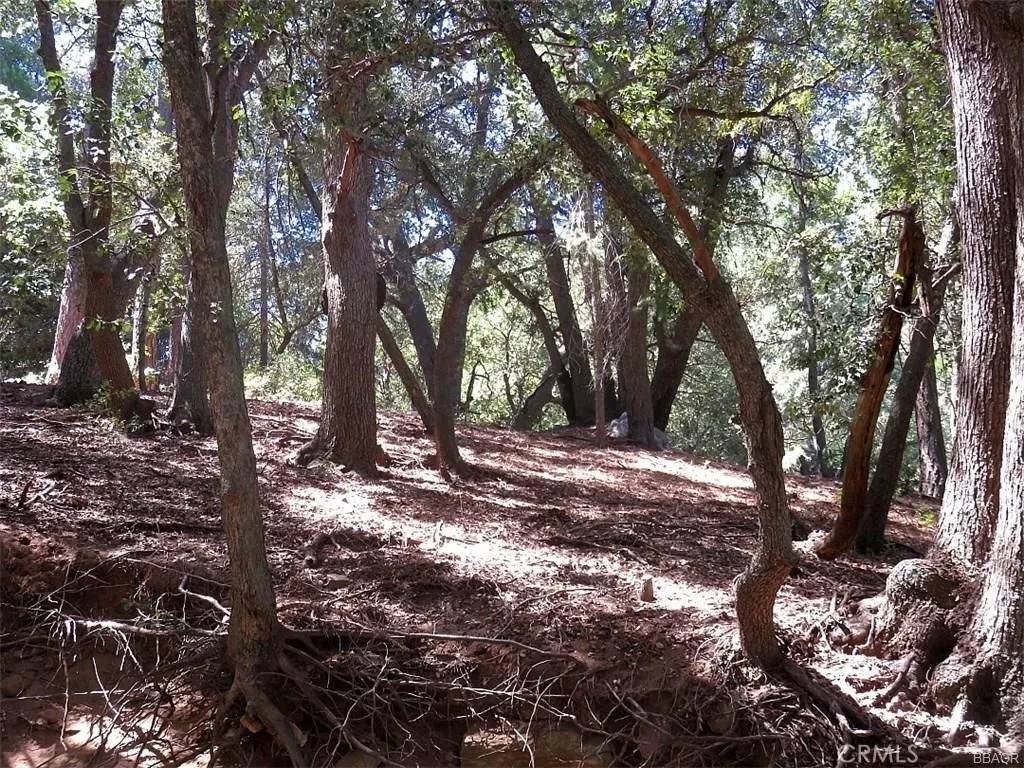 Cedarpines Park, CA 92322,34 Mojave River