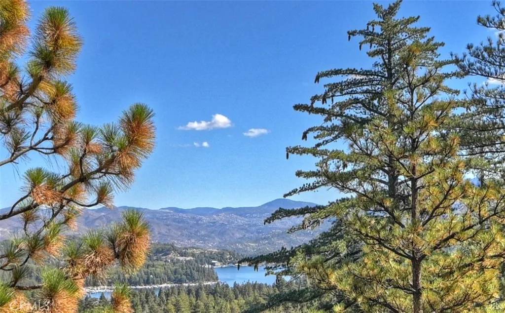 Lake Arrowhead, CA 92352,312 Grizzly Road