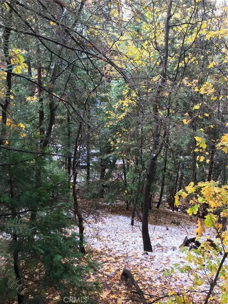 Lake Arrowhead, CA 92352,304 Emerald