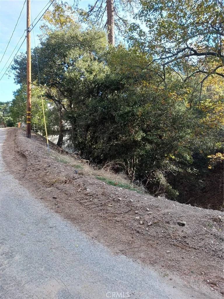Crestline, CA 92325,24764 Edelwiess