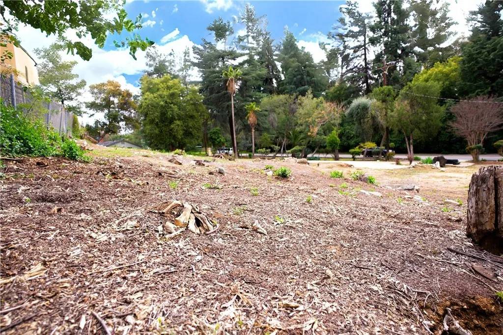 Redlands, CA 92373,0 Garden