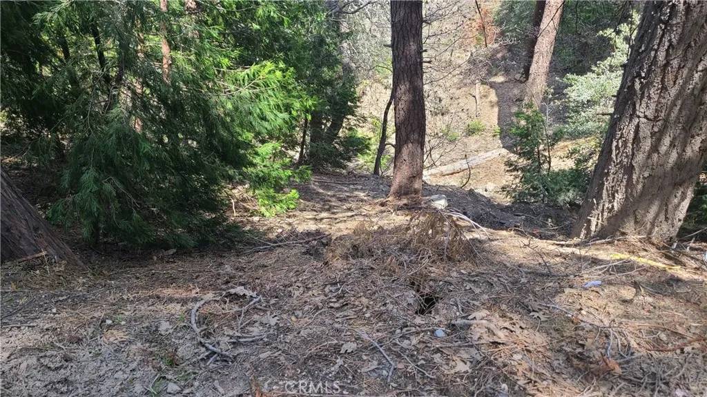 Cedar Glen, CA 92321,29186 Arrowhead