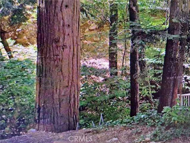 Lake Arrowhead, CA 92352,0 Fleming Creek