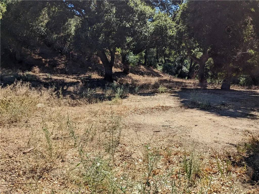 Green Valley, CA 91350,0 San Francisquito Cyn