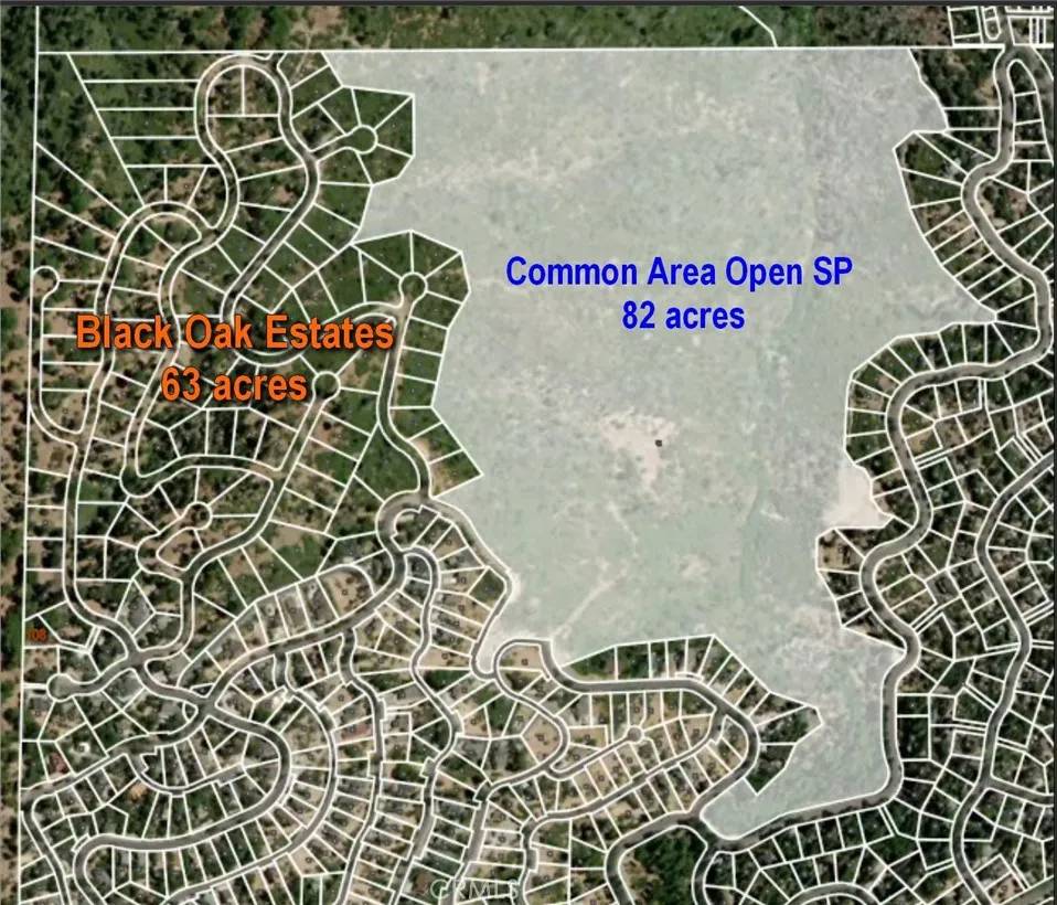 Lake Arrowhead, CA 92352,0 Black Oaks