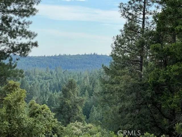 Grass Valley, CA 95945,12444 Manion Canyon Road