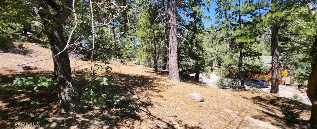 Running Springs, CA 92382,32311 FERN