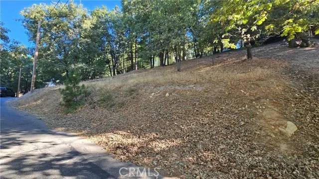 Running Springs, CA 92382,72 Park