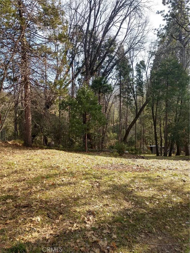 North Fork, CA 93643,8 S Cascadel South