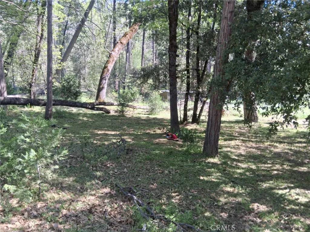 North Fork, CA 93643,8 S Cascadel South