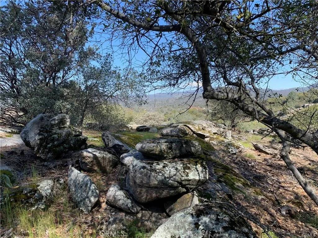 Coarsegold, CA 93614,123 Quartz Mountain