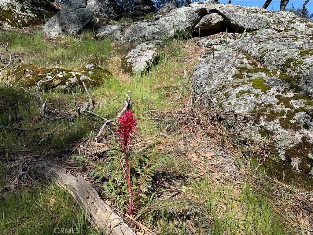 Coarsegold, CA 93614,123 Quartz Mountain