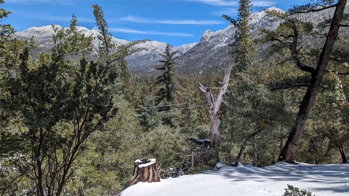 Idyllwild, CA 92549,54777 Wildwood