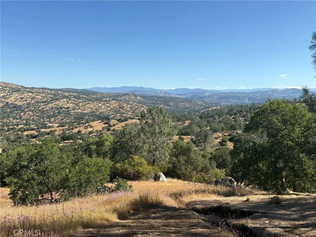Coarsegold, CA 93614,29777 Lilley Mountain