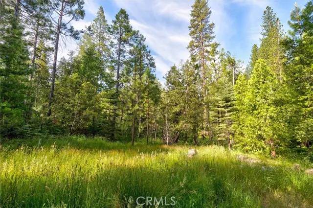 Wawona, CA 95389,7992 Koon Hollar Rd