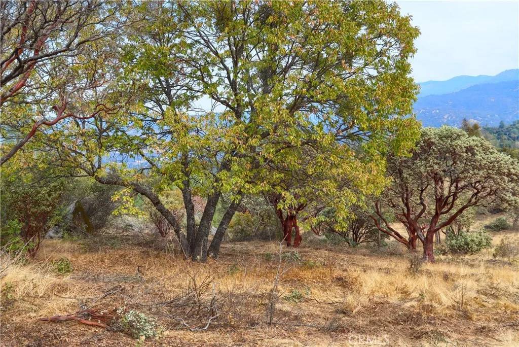 Oakhurst, CA 93644,2 Stillmeadow