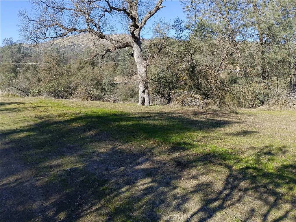 Coarsegold, CA 93614,0 Deep Forest