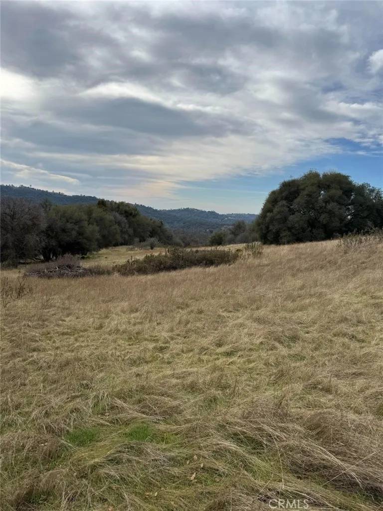 Mariposa, CA 95338,3270 Wildcat