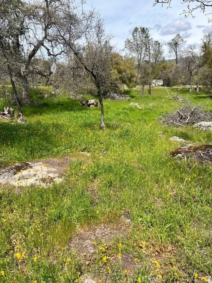 Coarsegold, CA 93614,0 John Muir