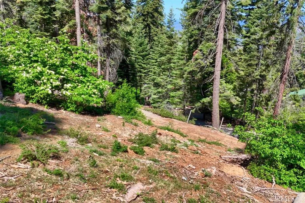 Yosemite, CA 95389,7420 Henness Ridge