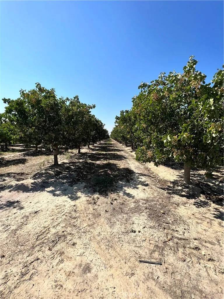 Alpaugh, CA 93215,10975 Avenue 16