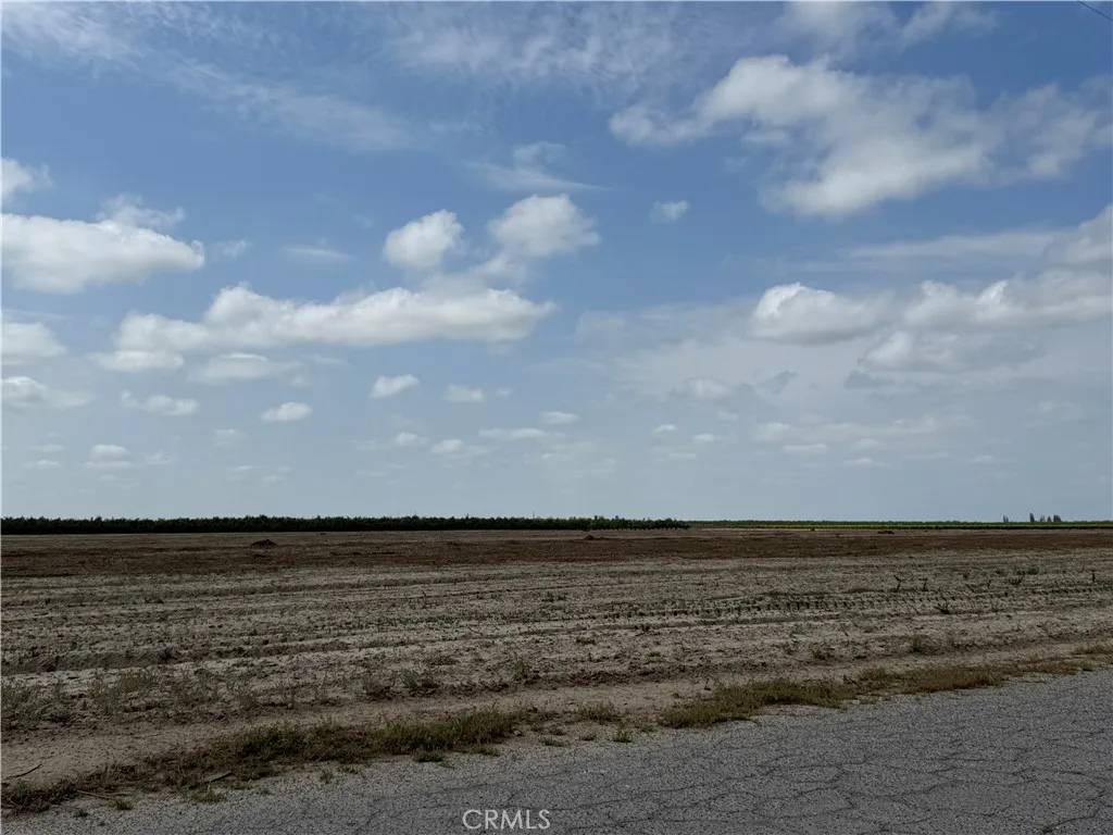 Caruthers, CA 93609,1 W Rose