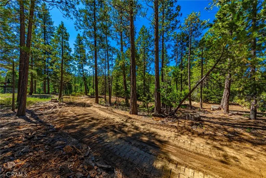 Wawona, CA 95389,0 River