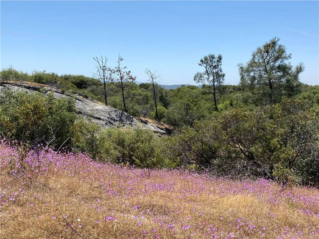 Coarsegold, CA 93614,0 Flying O Ranch Rd.