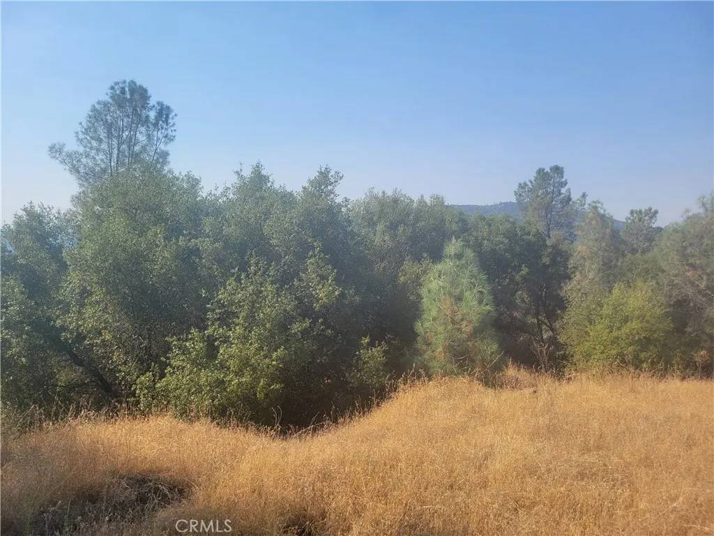 North Fork, CA 93643,17 Pine Tree