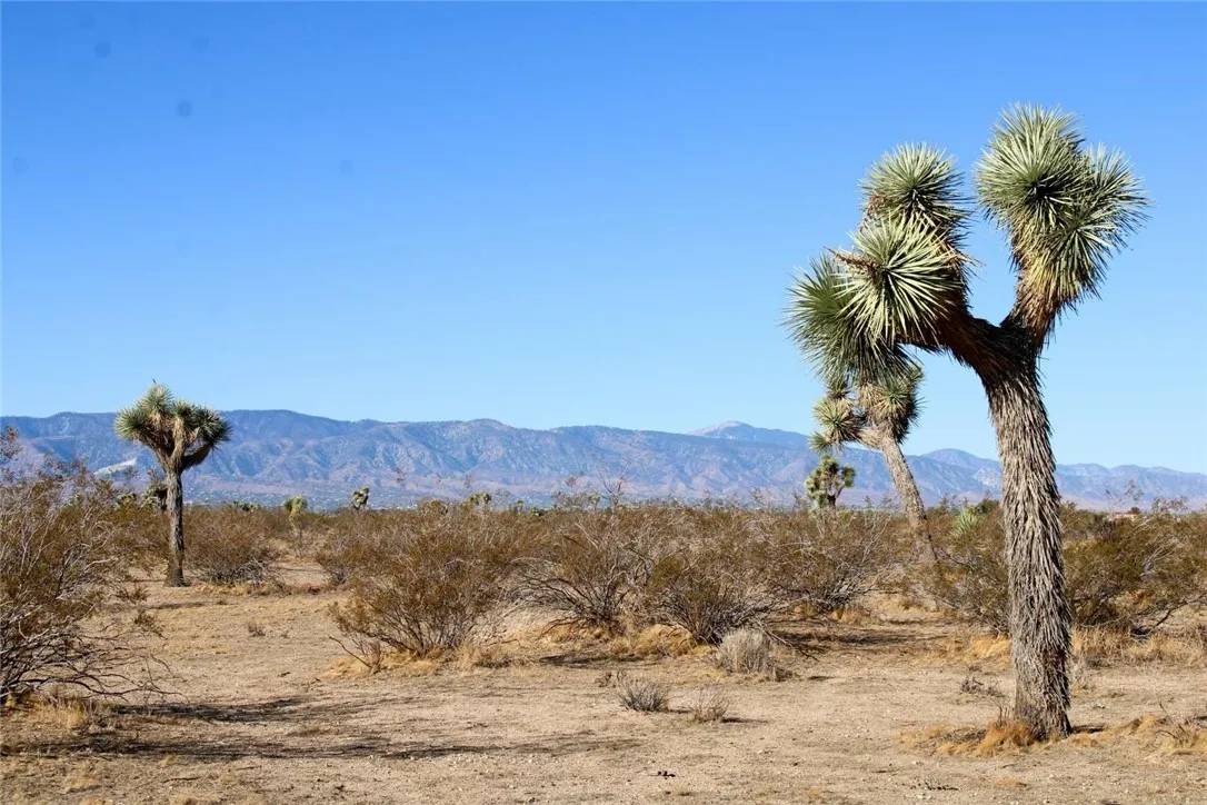 Phelan, CA 92371,6720 Sacramento