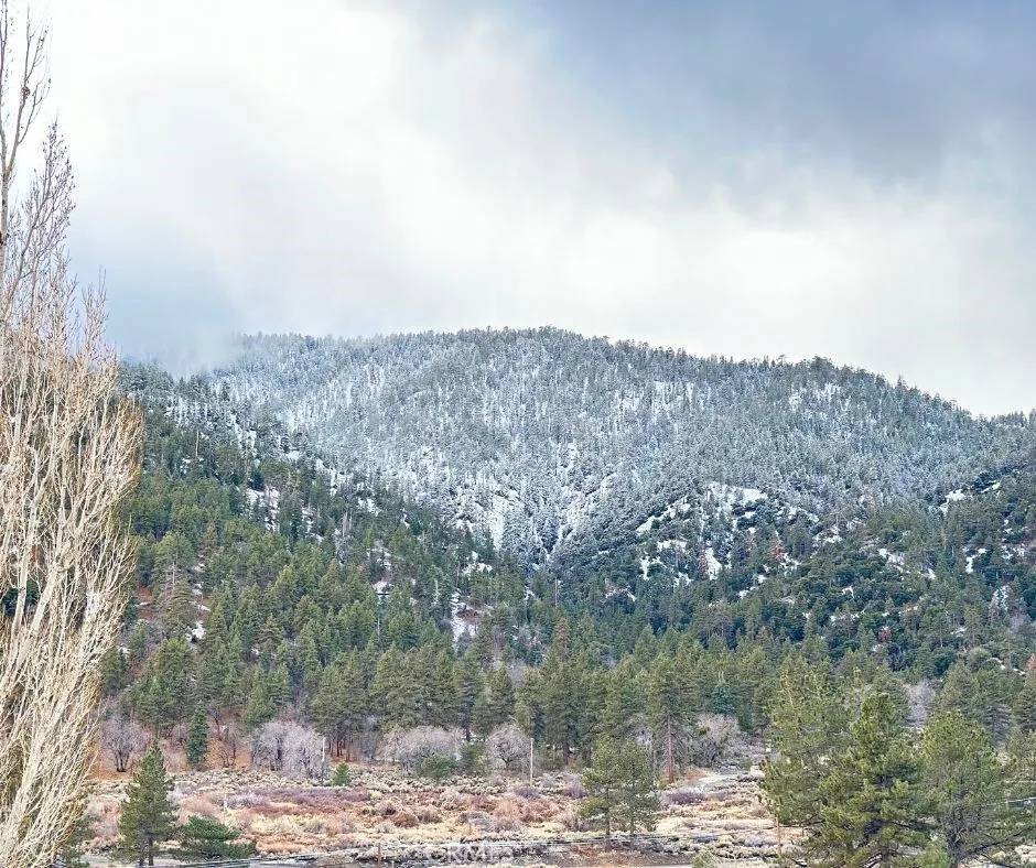 Wrightwood, CA 92397,26601 Big Pines