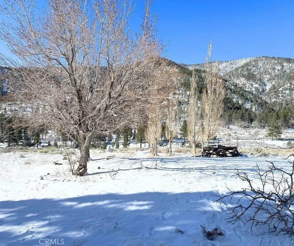 Wrightwood, CA 92397,26601 Big Pines