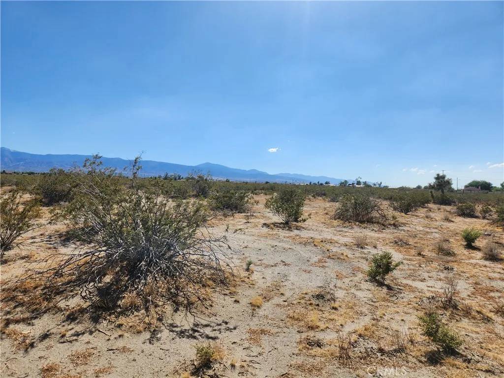 Phelan, CA 92371,1 Monta Vista
