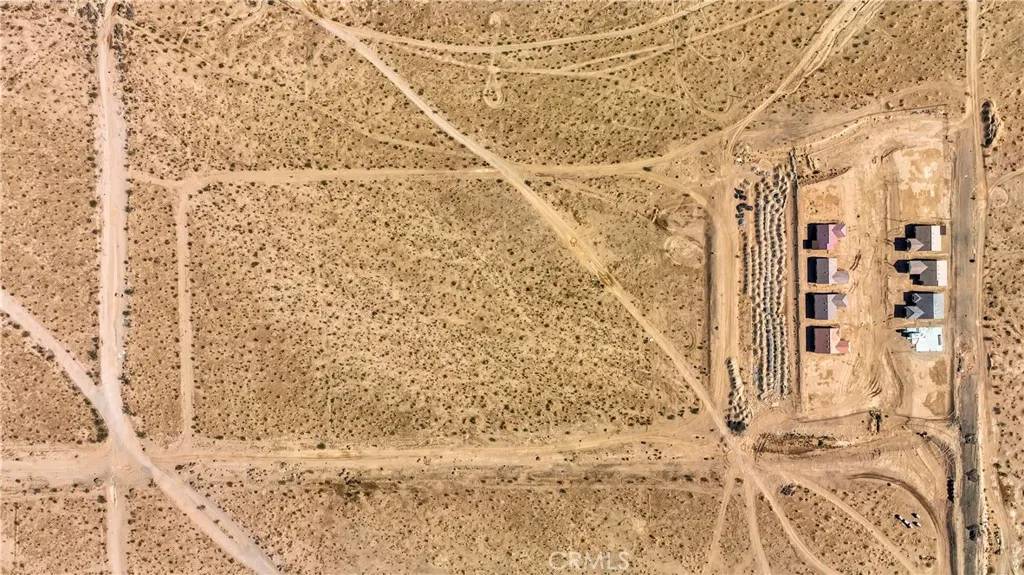 Barstow, CA 92311,0 Tortoise