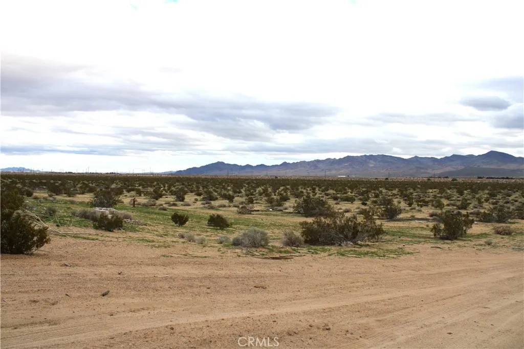 Yermo, CA 92398,0 McCormick St