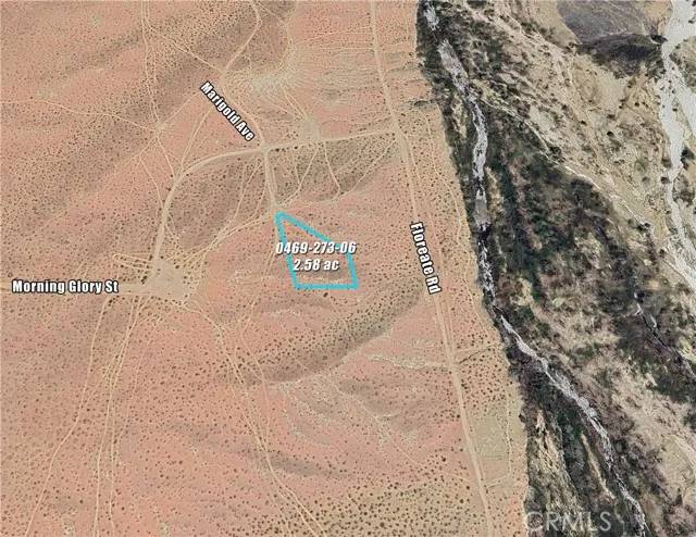 Oro Grande, CA 92368,0 Marigold