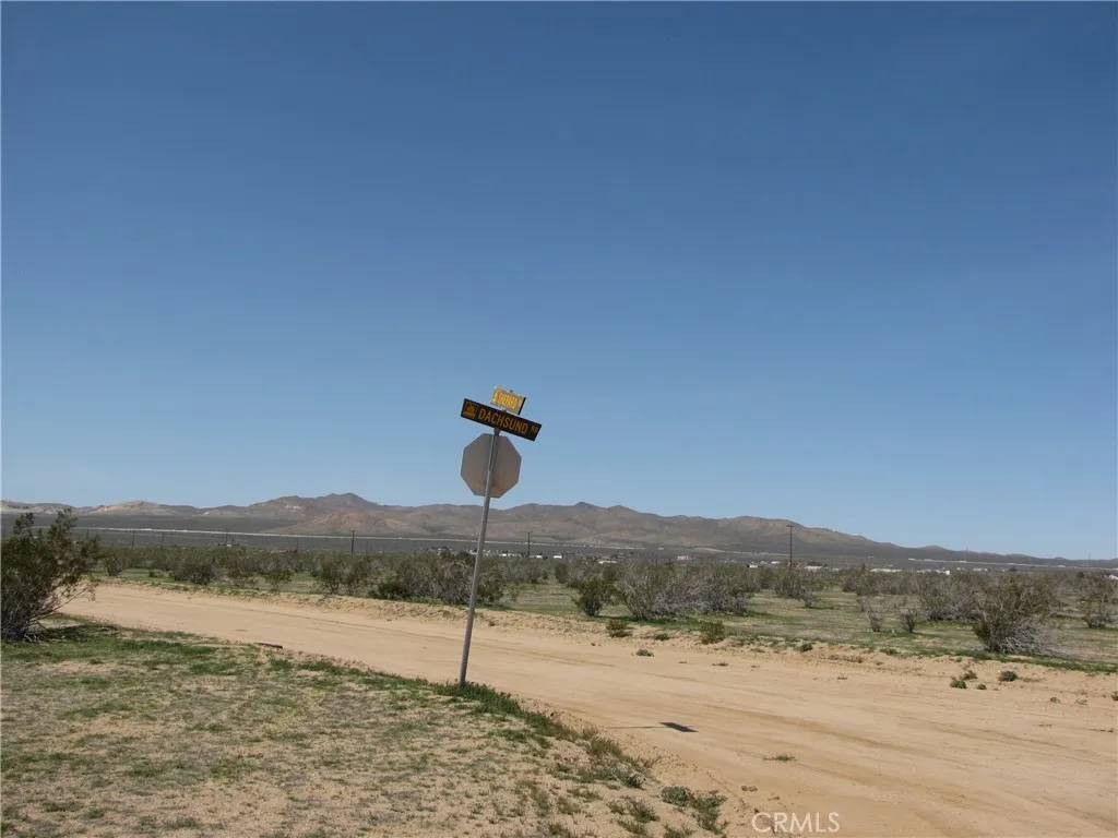 Apple Valley, CA 92307,19481 Dachshund