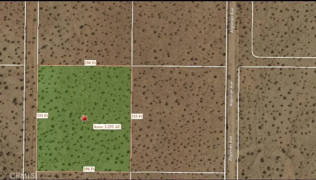 Lucerne Valley, CA 92356,0 Near Algoman