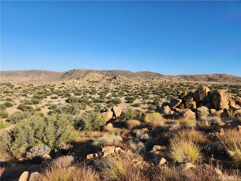 Pioneertown, CA 92268,7 Oak