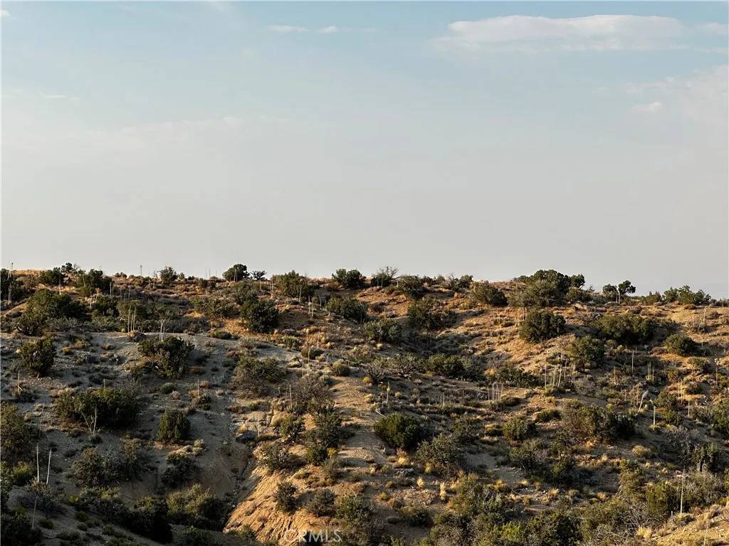 Juniper Hills, CA 93543,2 Ross Rd