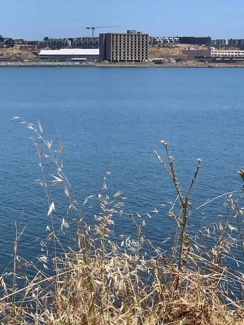 San Francisco, CA 94124,0 Ingerson