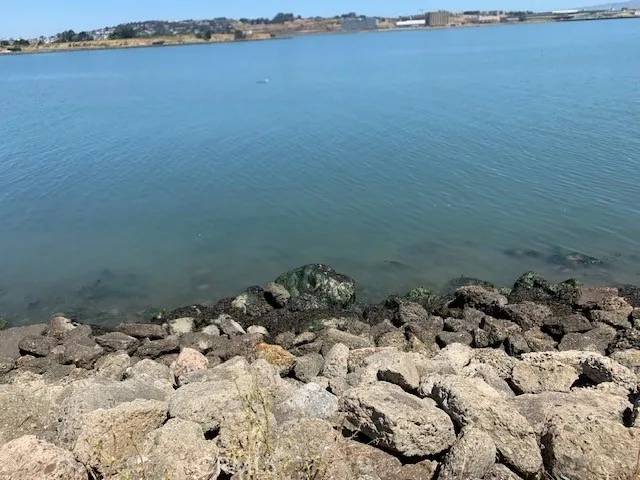 San Francisco, CA 94124,0 Hollister