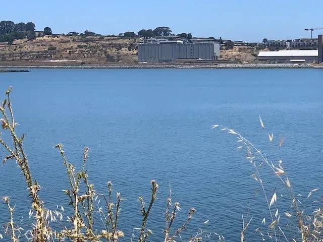 San Francisco, CA 94124,0 Hollister