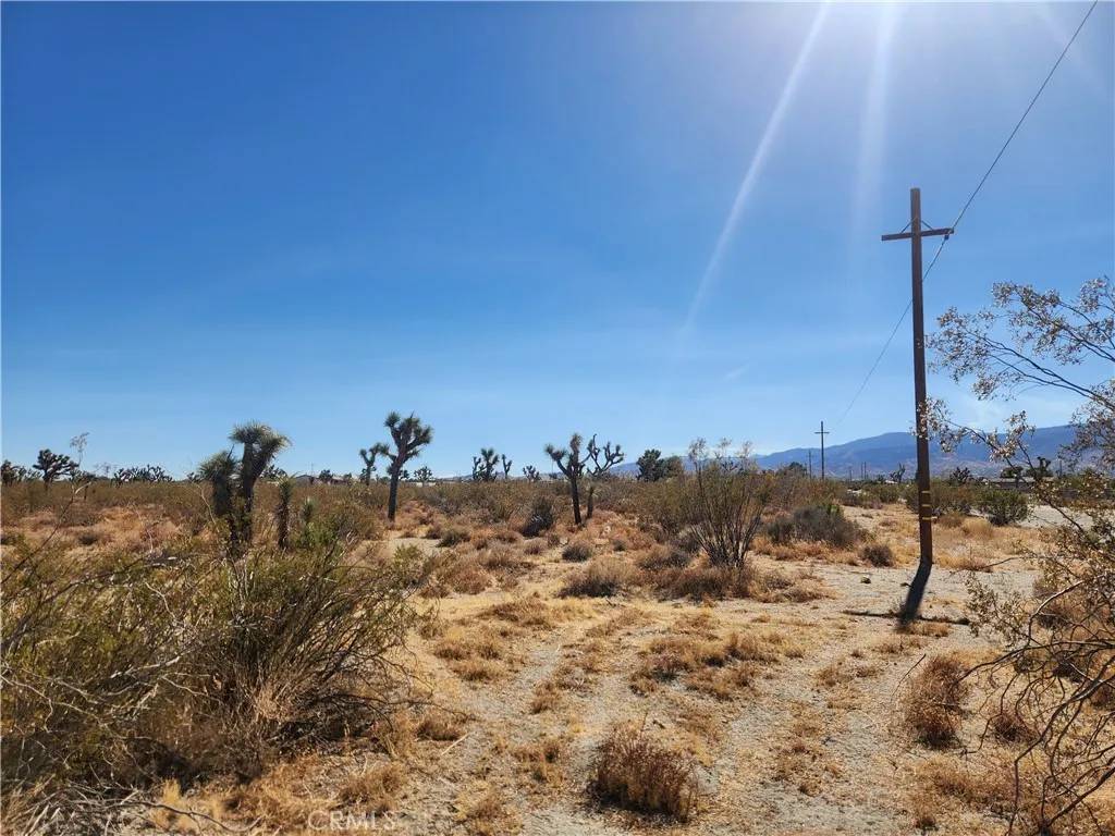 Pinon Hills, CA 92372,0 Colorado