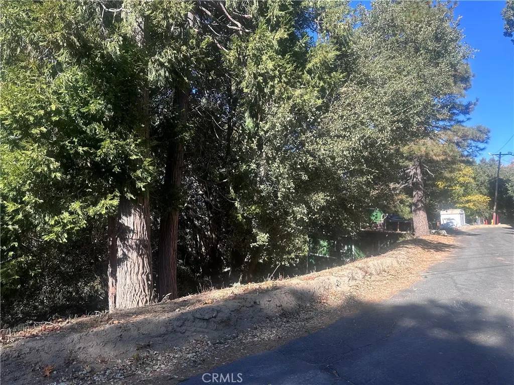 Crestline, CA 92325,2 Chillon
