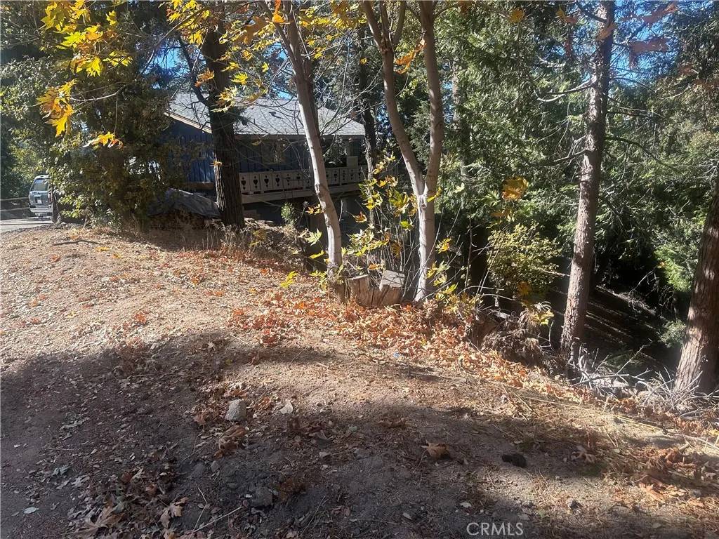 Crestline, CA 92325,2 Chillon