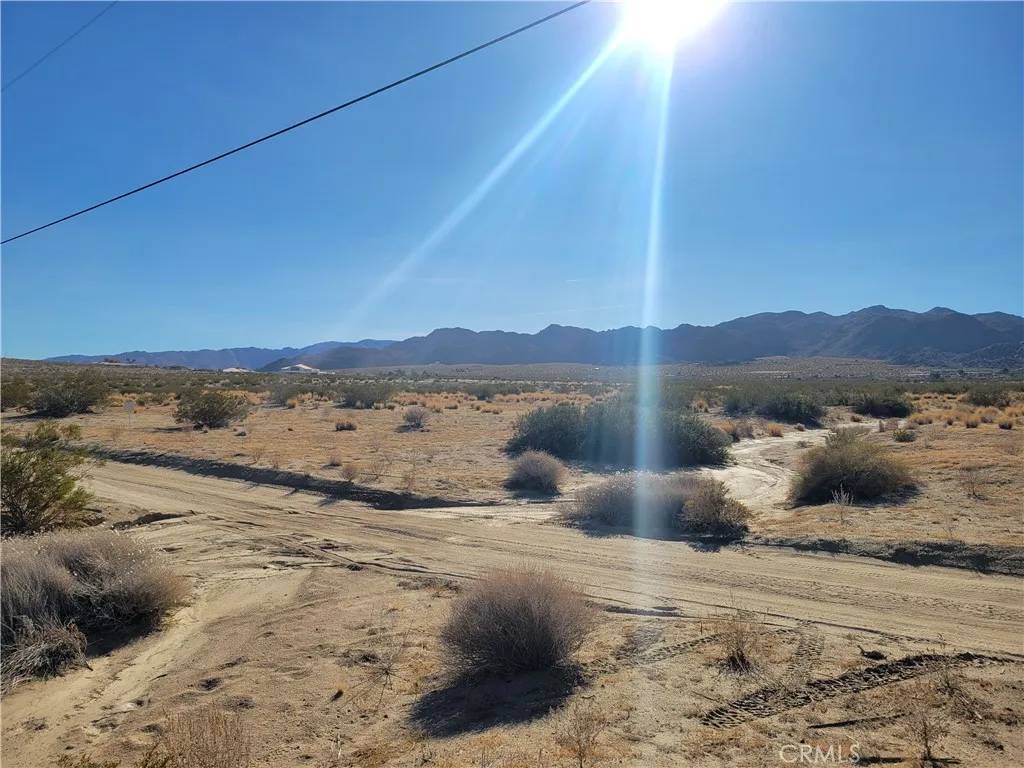 Joshua Tree, CA 92252,0 Fran Lou