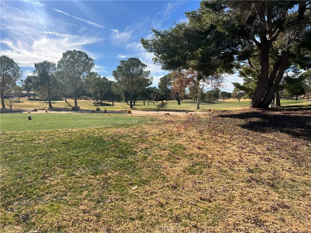 Helendale, CA 92342,14789 Greenbriar